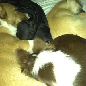 Meet your Posher, Christina